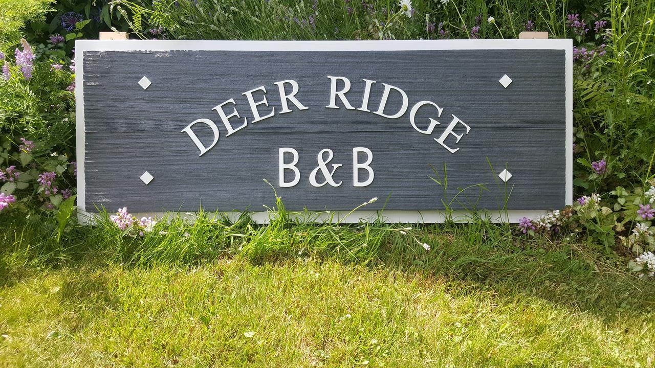 Deer Ridge B&B Golden Eksteriør bilde